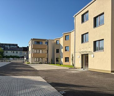 Wohnung in Gmünd - Foto 2