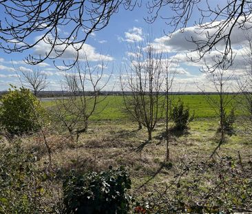 5 bedroom house to rent - Photo 6