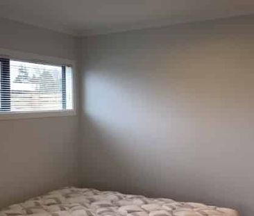 Modern Cozy Studio - Furnished! - Photo 1