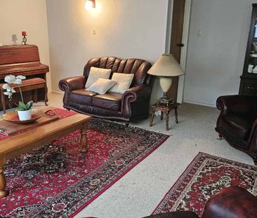 Tidy 3 bedroom in Tamatea - Photo 4