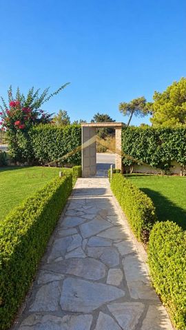 Διαμέρισμα για ενοικίαση Καλλιτεχνούπολη (Ραφήνα) - Photo 2