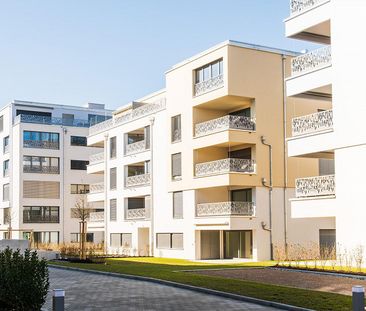 4.5 Zimmerwohnung in Neftenbach - Photo 5