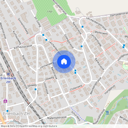 8703, Erlenbach, Lerchenbergstrasse, 54