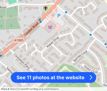 Rowan Drive, BRANDON - Photo 1