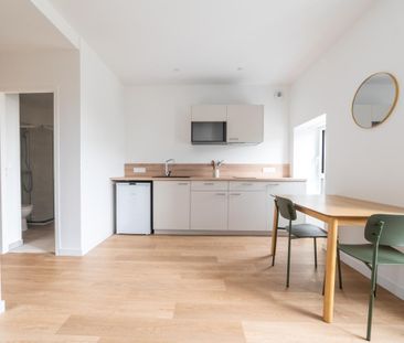 Location Appartement 1 pièce Meublé 23m² NANTES 44000 - Photo 4