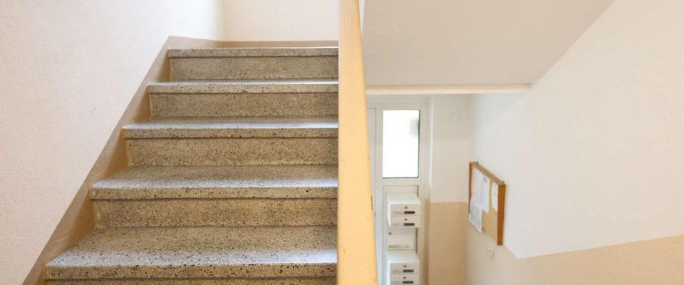 Gepflegte 3-Raum-Wohnung in sonnig ruhiger Lage - Photo 1