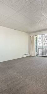 Rockland Heights - 1 Bedroom - Available March 1st - Photo 3