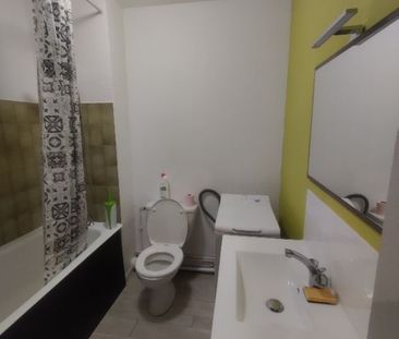 Location Appartement 1 pièce Meublé 23m² ST PIERRE DU MONT 40280 - Photo 4