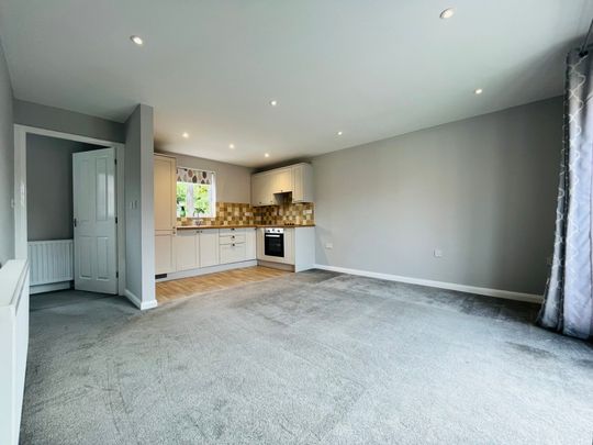 Westminster Avenue - Photo 1