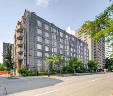 Appartement à louer - Montréal (Ville-Marie) (Village) - Photo 6