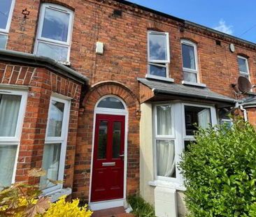 45 St Albans Gardens, Belfast, BT9 5DR - Photo 5