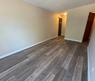 SPACIOUS 2 Bedroom APARTMENT!! GREAT LOCATION Downtown!!! - Photo 2