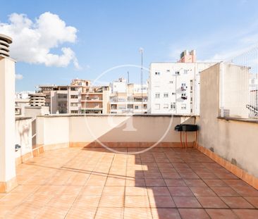 Penthouse for rent in Palma - Photo 1