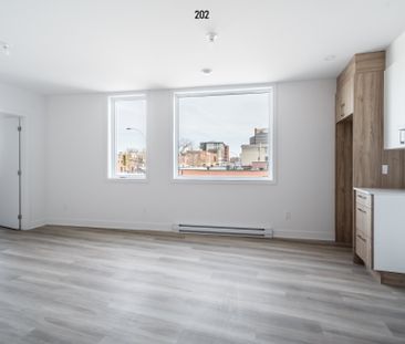 Condo for rent, Montréal (Rosemont/La Petite-Patrie) - Photo 4