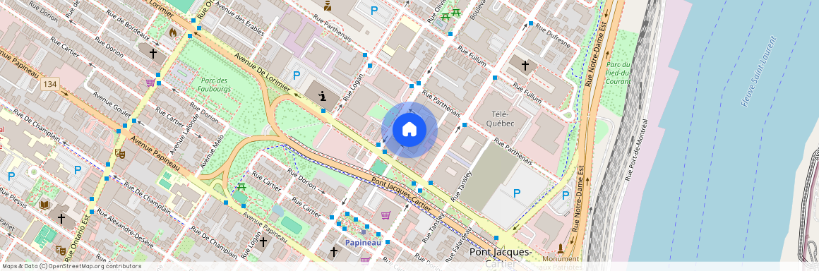 Rue Laforce, Ville-Marie, Ville-Marie, Ile de Montréal, H2K 3S1