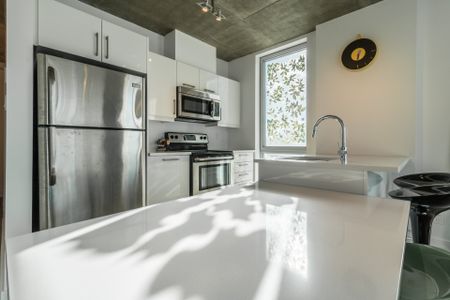 Condo for rent, Montréal (Le Sud-Ouest) - Photo 3