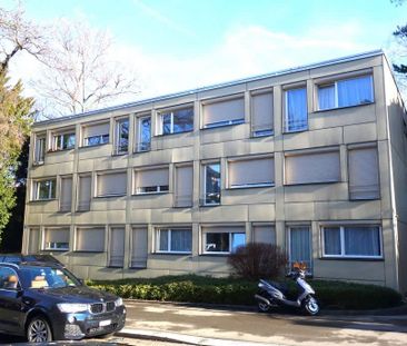 1.5 Zimmer, 45 m², EG - Foto 2