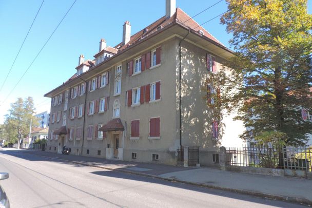 Rue du Chasseral 6 - appartement 2ème Ouest - Photo 1