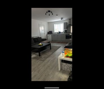 Room in a Shared Flat, Stoke Gifford, BS34 - Photo 1