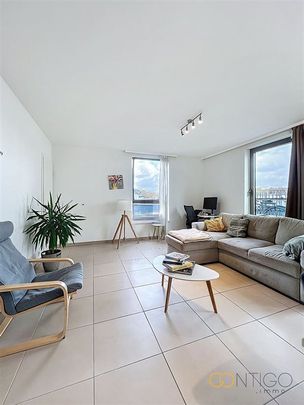 Lumineux penthouse avec terrasse quartier la chasse - Photo 1