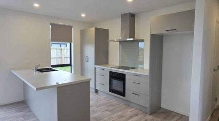 Brand New Build - Longview Hawera - Photo 3