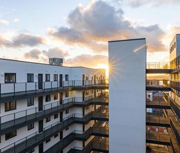 2 Bed Flat, Norfolk Street, L1 - Photo 4