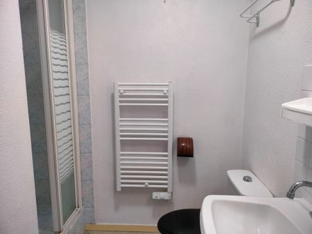 Location Appartement 1 pièce 17m² NANTES 44000 - Photo 2
