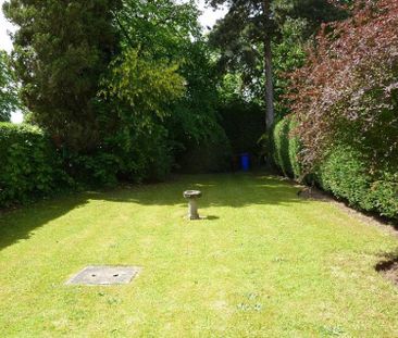 2 Bedroom Mews To Let - Photo 6