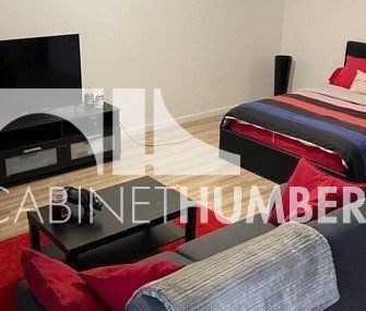 Location Appartement 1 pièce Meublé 42m² ST ETIENNE 42000 - Photo 6