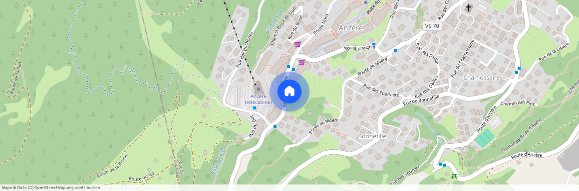 Route d'Anzère, 26, 1972 Anzère