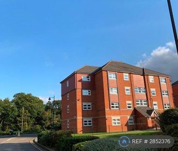 Studio to rent - Photo 3