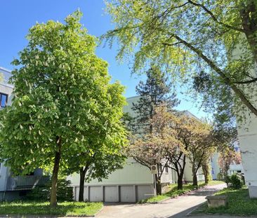 Resthofstrasse 84/11, 4400, Steyr - Photo 5