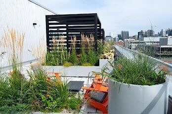 Centretown mid-rise modern apartment building. - Photo 3