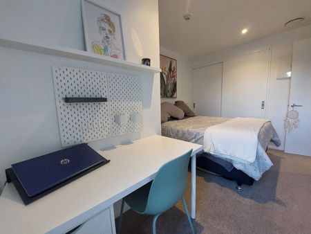 1 Bedroom mordern apartment - Handbag dog or Cat is welcome! - Photo 2