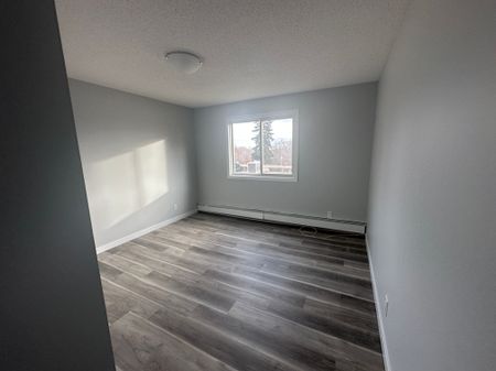 Small Pet Friendly Spacious 3-Bedroom Apartment - Photo 3