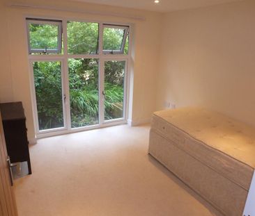 2 bedroom detached bungalow to rent - Photo 4