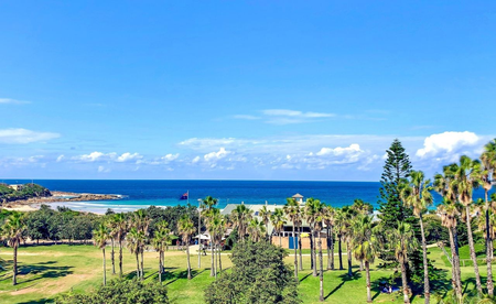 24/30 Moore Road, Freshwater NSW 2096 - House For Rent | Domain - Photo 4