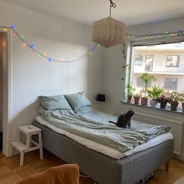 Ljunglidsgatan, Borås - Foto 1