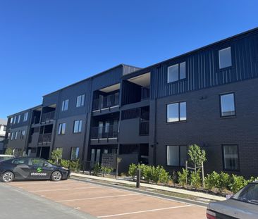 G07/28C Eileen Newey Place, Henderson - Photo 6