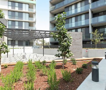 Inner North Haven - Photo 5