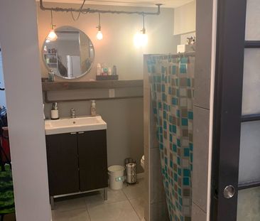 For Lease - 18 Myrtle Avenue Unit# Lower, St. Catharines, Ontario - Photo 3