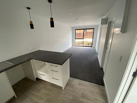 Newly Built 2-Bedroom Unit - Ideal for Working Pro - Photo 4