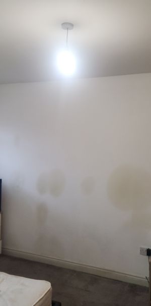 WF6, Normanton - Photo 2