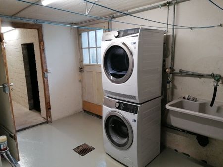 Row of single-family homes looking for a small family with a green thumb - Photo 4