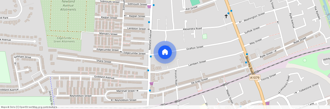 113 Grafton Street, Hull HU5