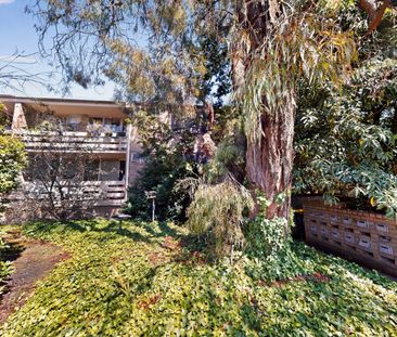 12/47 Rose Street, Box Hill VIC 3128 - Apartment For Rent | Domain - Photo 2