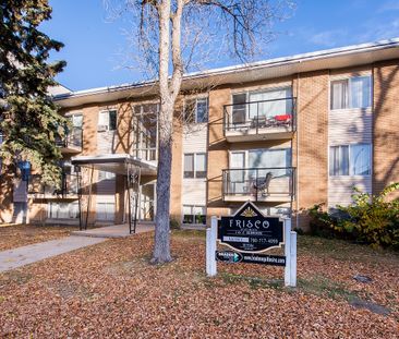 Frisco Apts - Photo 3