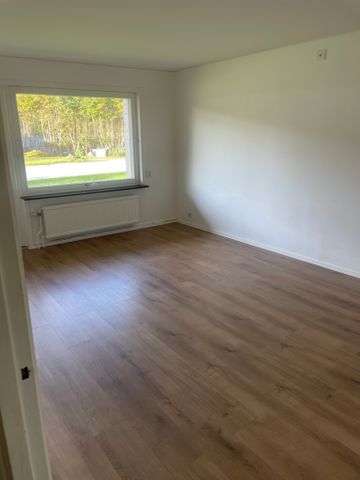 Bastuvägen, Aplared - Foto 3