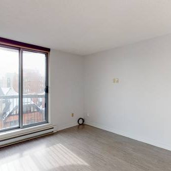 All Inclusive Studio - Centretown - November Move In - Photo 1