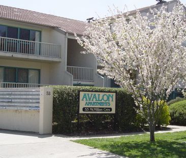 53/55 McMillan Crescent, Griffith ACT 2603 - Apartment For Rent | D... - Photo 2